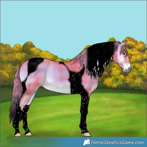 Horse Color:Void Watercolor Plaid  Liver Red Onyx Tobiano 