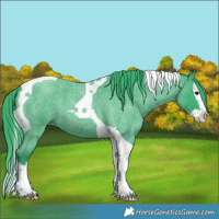Horse Color:Watercolor Blue Roan Splash Tobiano 