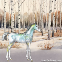 Horse Color:White Spotted Chocolate Silver Grullo Chinchilla Onyx Sabino Rabicano Brindle 