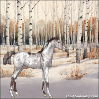 Horse Color:White Spotted Chocolate Grullo Chinchilla Sabino Brindle
