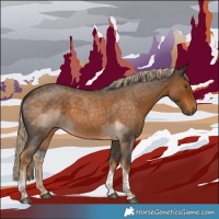 Horse Color:Chocolate Palomino Roan Tobiano 