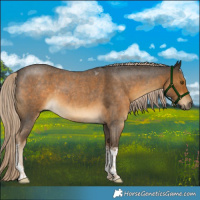 Horse Color:Chocolate Palomino Roan Tobiano 