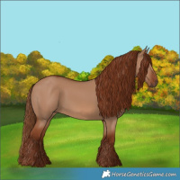 Horse Color:Red Dun 