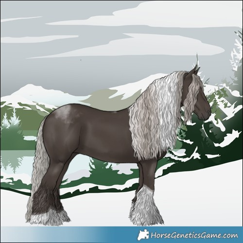 Horse Color:Silver Black Tobiano 