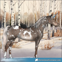 Horse Color:White Spotted Liver Red Dun Mushroom Rabicano Brindle 