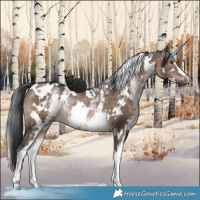 Horse Color:White Spotted Brown Dun Rabicano Brindle 