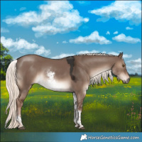 Horse Color:White Spotted Liver Red Dun Mushroom Sabino Rabicano