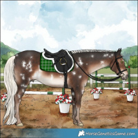 Horse Color:White Spotted Liver Chestnut Mushroom Rabicano 