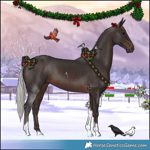 Horse Color:Silver Brown Tobiano 