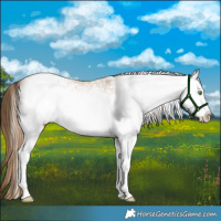 Horse Color:White Spotted Liver Red Dun Roan Pearl Rabicano 