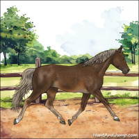 Horse Color:Chocolate Palomino 