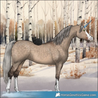 Horse Color:Silver Brown Dun