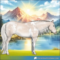 Horse Color:White Spotted Cremello Mushroom Tobiano Rabicano
