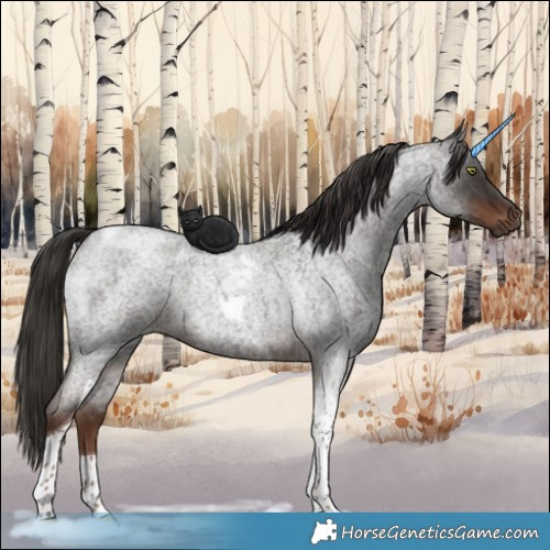 Horse Color:Liver Red Roan Tobiano 