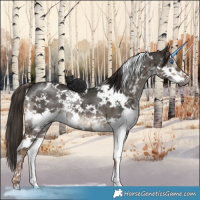 Horse Color:Gray White Spotted Liver Red Dun Sabino Splash Brindle