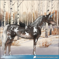 Horse Color:White Spotted Liver Chestnut Mushroom