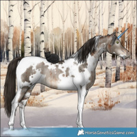 Horse Color:Gray White Spotted Brown Pearl Dun Mushroom Tobiano Brindle