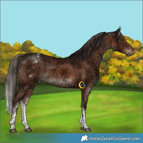 Horse Color:White Spotted Liver Chestnut Ice Sabino 