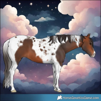 Horse Color:Bay Tobiano