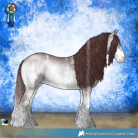 Horse Color:Chocolate Brown Chinchilla Onyx Sabino