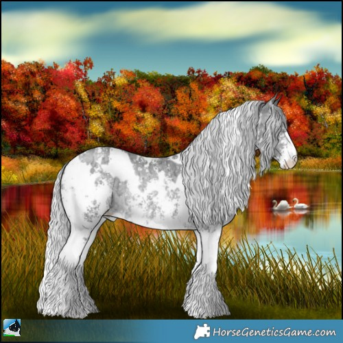 Horse Color:White Spotted Silver Brown Chinchilla Ice Sabino Rabicano 