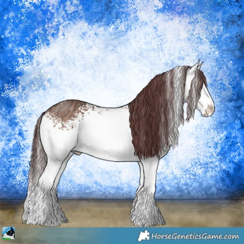Horse Color:White Spotted Chocolate Bay Ice Sabino 