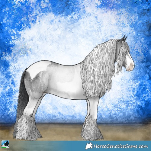 Horse Color:Black Chinchilla Ice Sabino Tobiano 