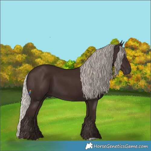 Horse Color:Gray Silver Black 