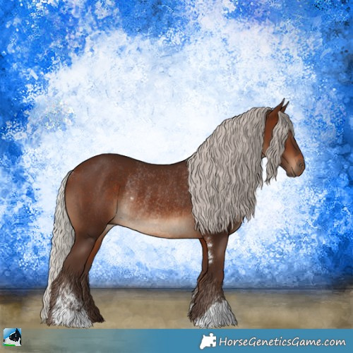 Horse Color:Silver Brown Sabino Rabicano