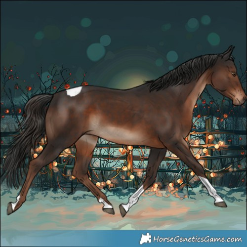 Horse Color:Liver Chestnut Tobiano Rabicano 