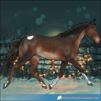 Horse Color:Liver Chestnut Tobiano Rabicano 