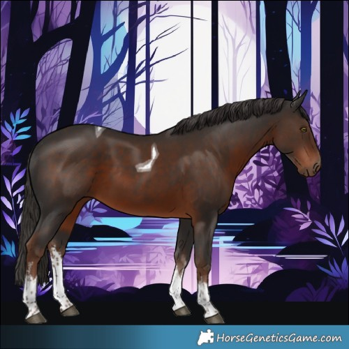 Horse Color:White Spotted Liver Chestnut Tobiano 