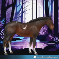 Horse Color:White Spotted Liver Chestnut Tobiano 