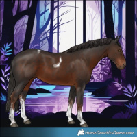 Horse Color:White Spotted Liver Chestnut Tobiano
