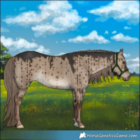 Horse Color:Liver Red Dun Brindle