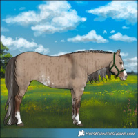 Horse Color:Liver Red Dun Sabino Brindle 
