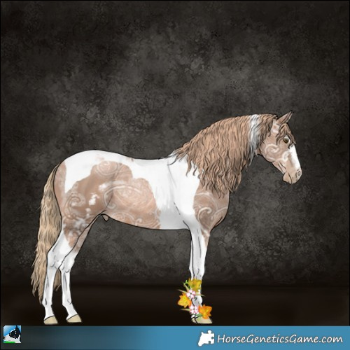 Horse Color:White Spotted Liver Chestnut Ice Pearl Tobiano Rabicano 