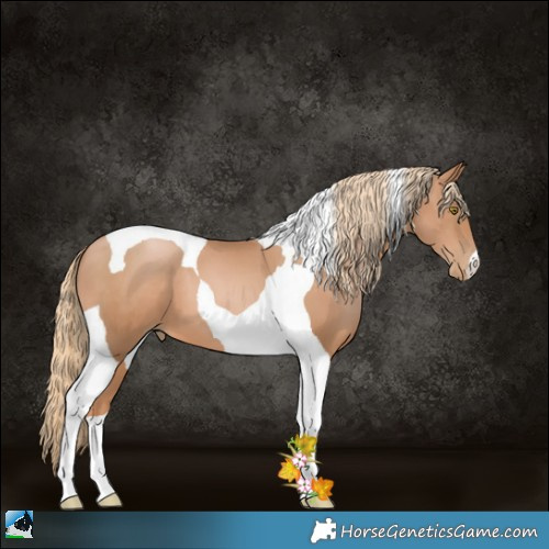 Horse Color:Chestnut Pearl Tobiano 