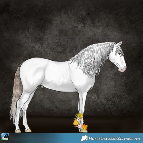 Horse Color:White Spotted Liver Chestnut Pearl Splash Tobiano Rabicano 