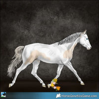 Horse Color:Gold Champagne Pearl Dun Splash Tobiano 