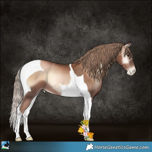 Horse Color:Liver Red Onyx Pearl Tobiano 