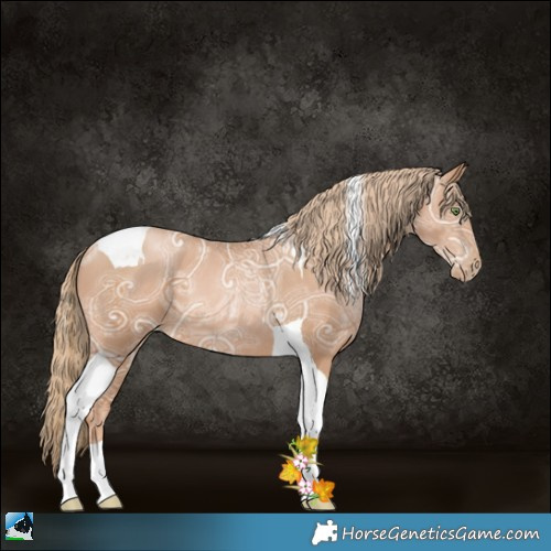 Horse Color:Chestnut Ice Pearl Tobiano Rabicano 