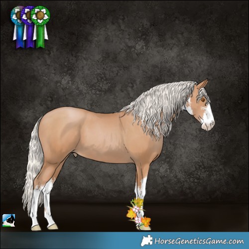 Horse Color:White Spotted Silver Black Pearl 