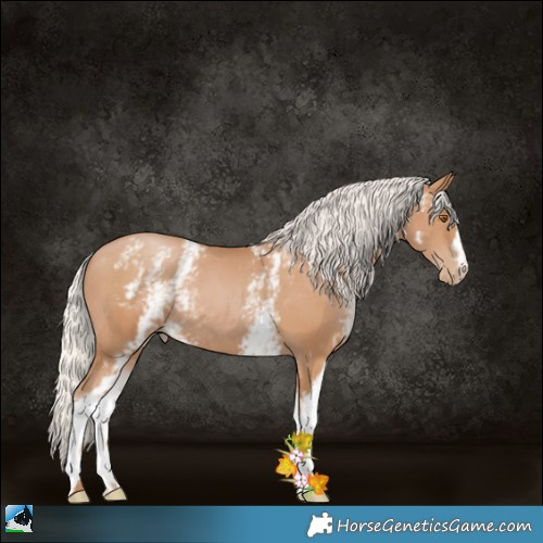 Horse Color:White Spotted Silver Black Pearl 