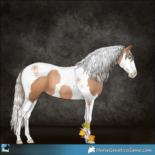 Horse Color:Chestnut Pearl Splash Tobiano 