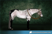 Horse Color:Liver Red Onyx Ice Roan Tobiano 