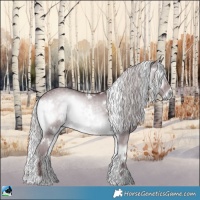 Horse Color:White Spotted Chocolate Silver Blue Onyx Chinchilla
