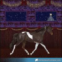 Horse Color:Liver Chestnut Tobiano 