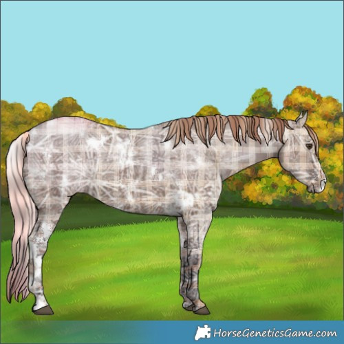 Horse Color:Plaid  White Spotted Liver Red Dun Ice 
