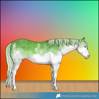 Horse Color:Plaid  White Spotted Chocolate Palomino Splash 